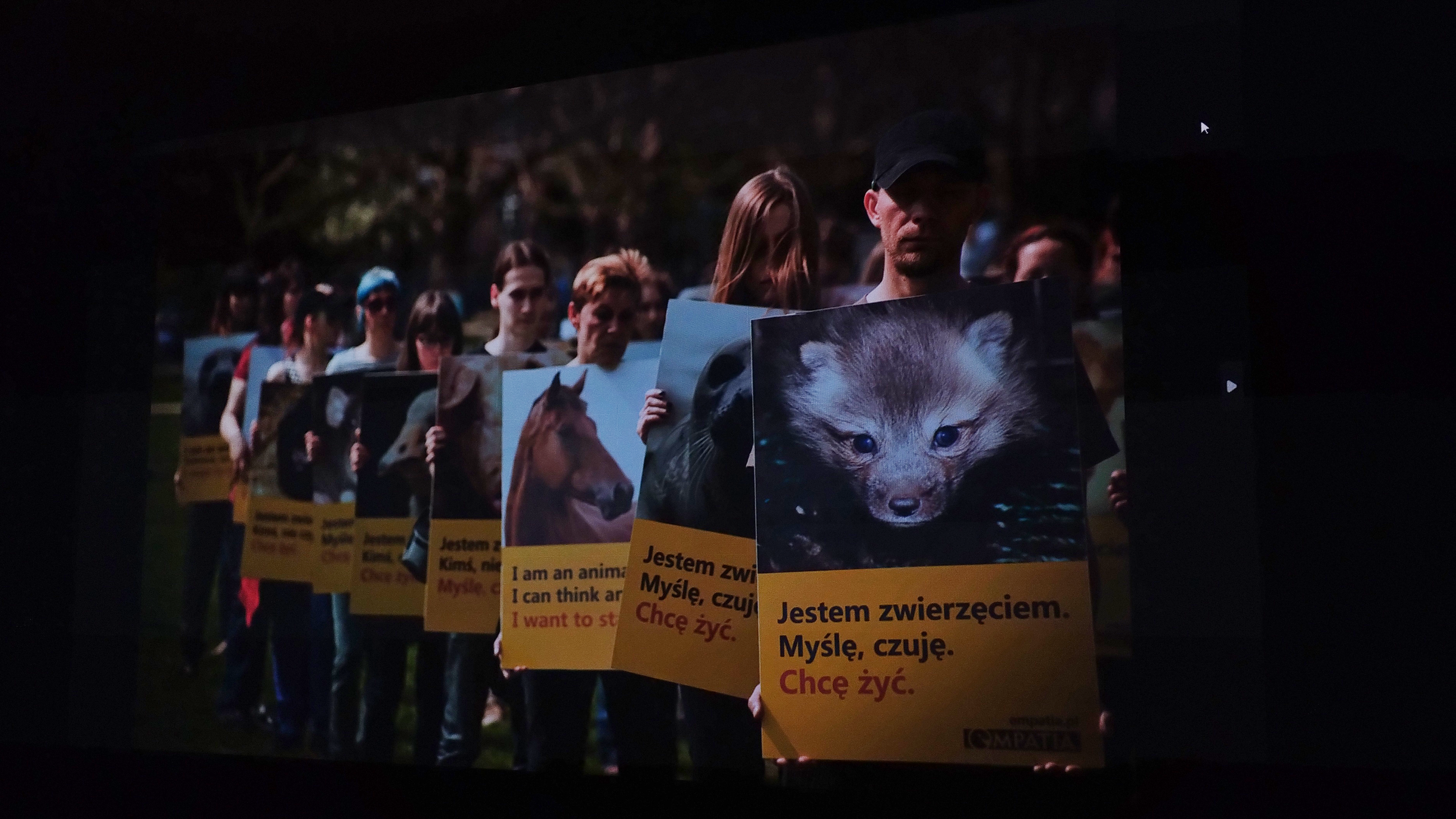 Działanie stowarzyszenia "Empatia"